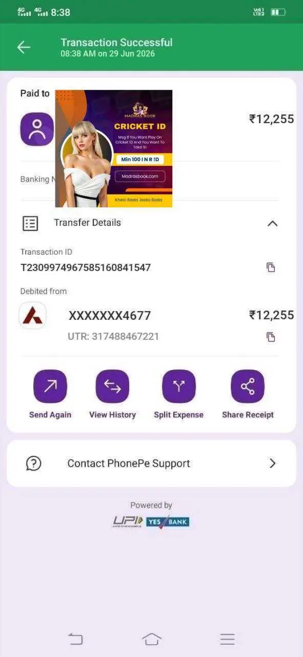 1000124534